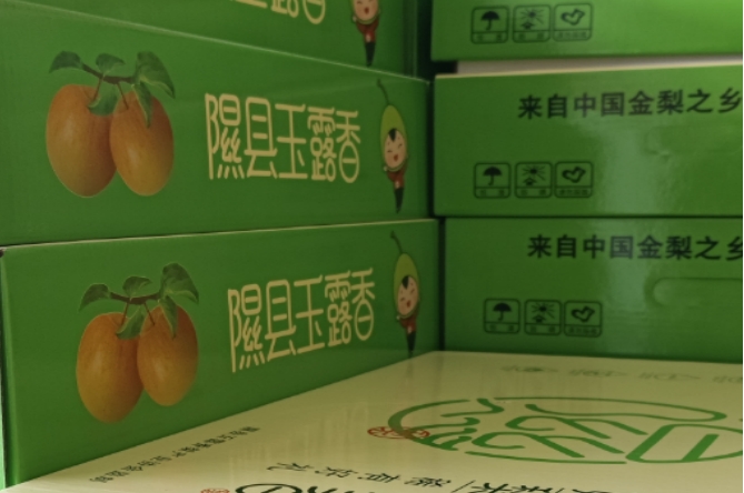 微信截圖_20250412163756.png